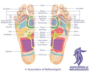 Blog. plantar chart